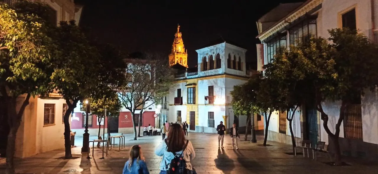 Apartamento Con Parking Privado Gratis Incluido Lejlighed Córdoba Spanien