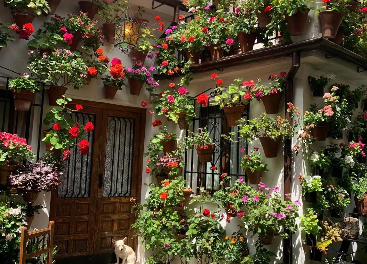 Apartamento Con Parking Privado Gratis Incluido Lejlighed Córdoba